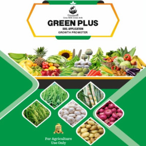 Green plus