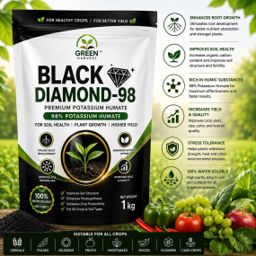 Black Diamond-98